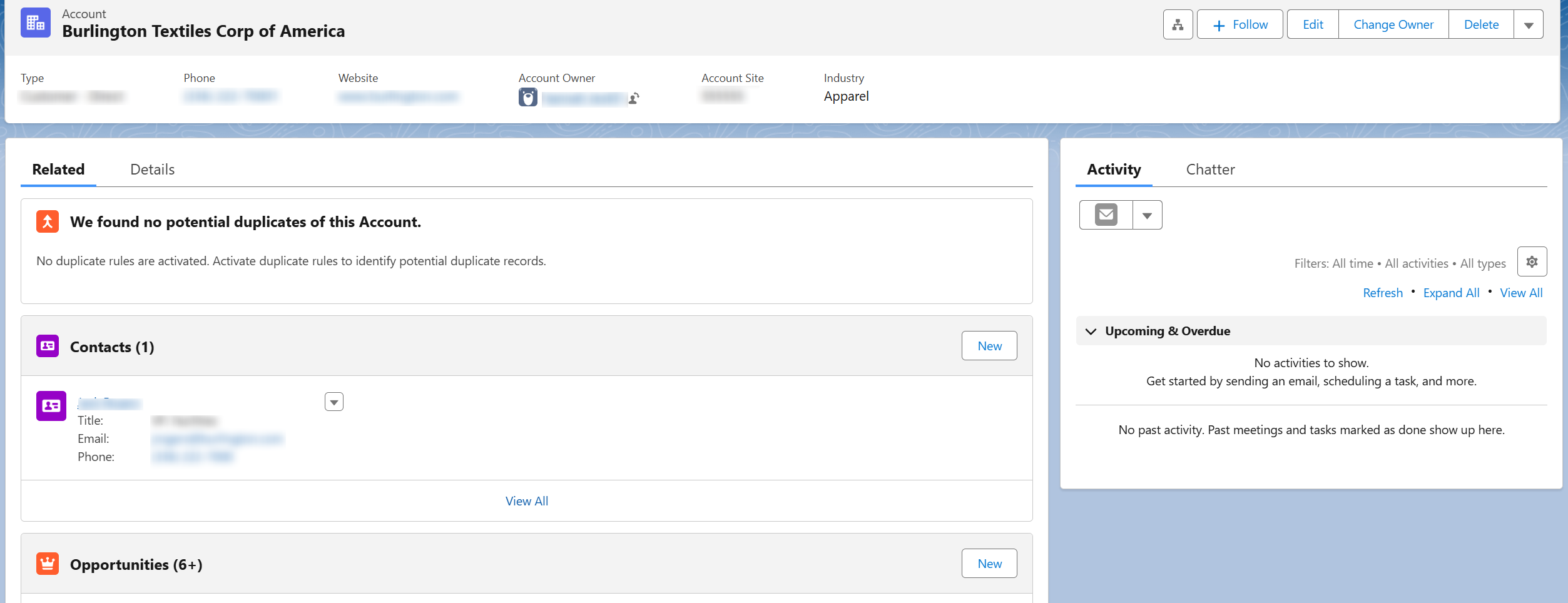 Related tab in Salesforce app.