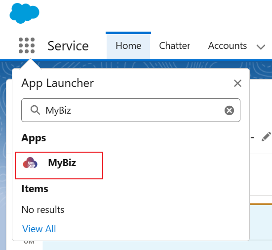 MyBiz Salesforce app.