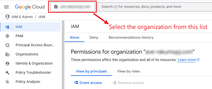 Select the organization from the resource list. Select the organization from the resource list.