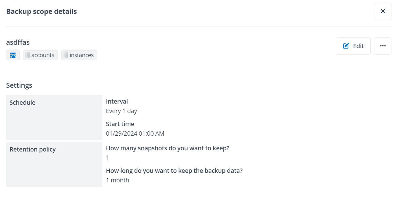The Backup scope details panel.