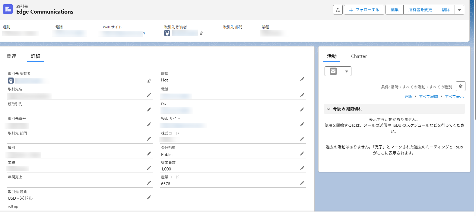 Salesforce アプリでの詳細タブ