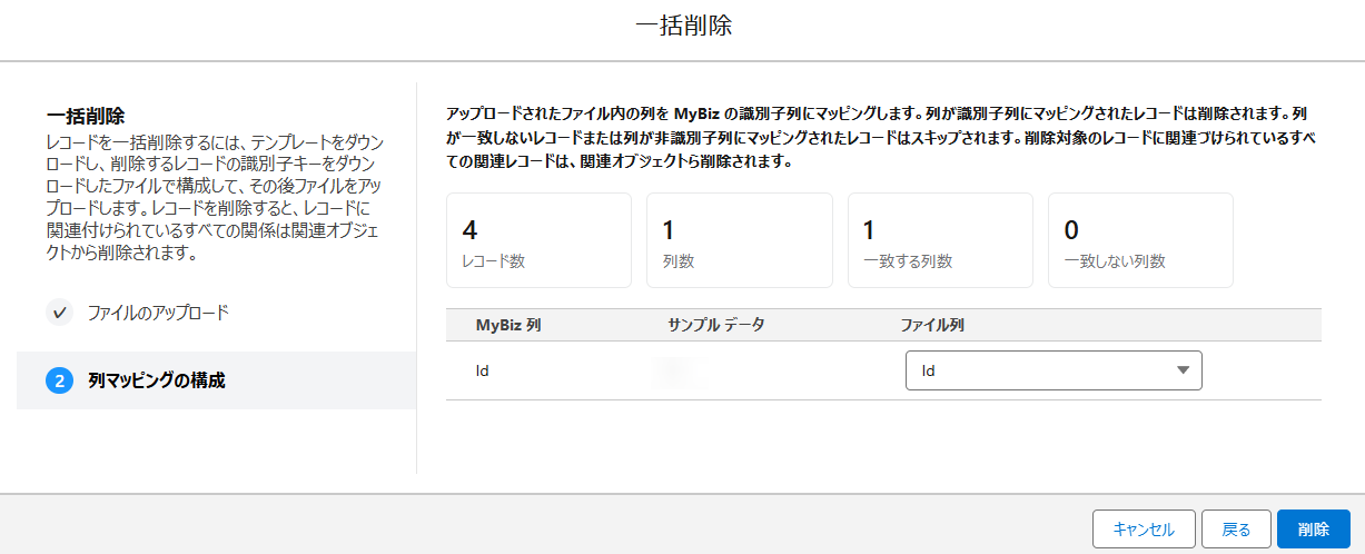Salesforce アプリでの列マッピングの構成