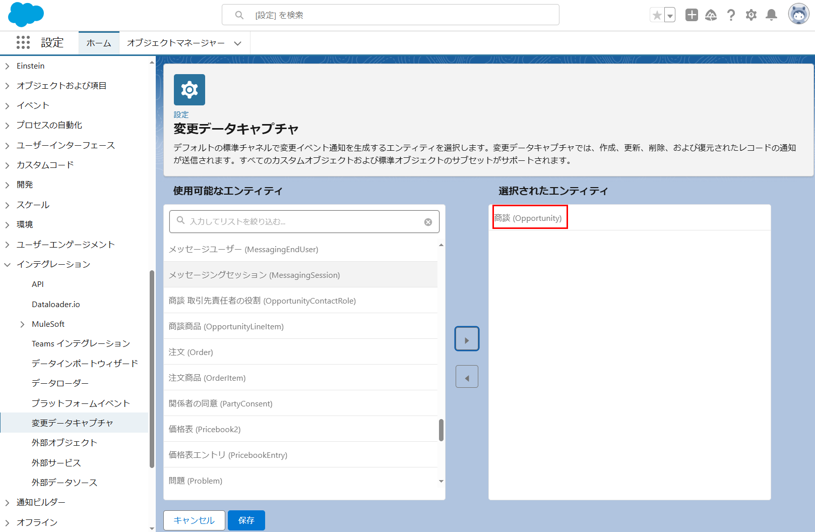 選択されたエンティティ セクション