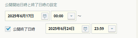 公開終了日時 公開終了日時